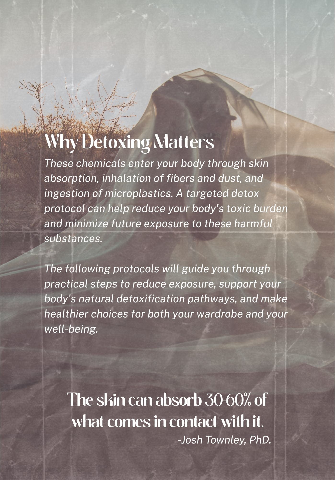Fast Fashion Detox Protocol-1
